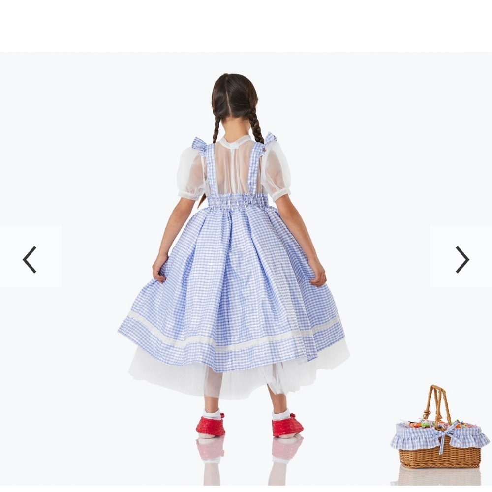 Wizard Of OZ Dorothy Kids Costume - Picture 2 of 10